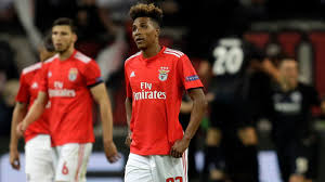 Gedson fernandes kimdir, hayatı ve biyografisi. Gedson Fernandes Tottenham Nears Loan Signing Sports Illustrated