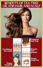 It does stimulate hair growth, although scientists aren't quite sure how it works. Benefits And Uses Of Tea Tree Oil For Hair Femina In