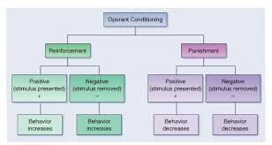 b f skinner operant conditioning theory download