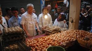 Harga telur ayam diperkirakan akan mulai menurun pada awal januari 2021. Mendag Tetapkan Batas Atas Dan Bawah Untuk Harga Ayam Bisnis Tempo Co