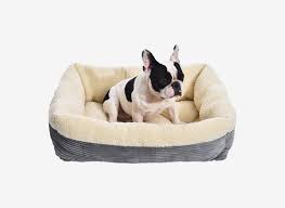 They're usually either small packages or treats that contain basic ingredients. 19 Best Dog Beds 2021 The Strategist