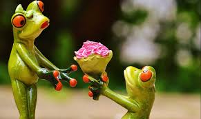 I have one wish for valentine's day. 10 Funny Valentines Day Poems