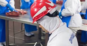 Marfrig is the second largest brazilian food processing company, after jbs. Ebitda Da Marfrig Ficara 30 Acima Do Consenso Do Mercado Calcula Bradesco Bbi Money Times