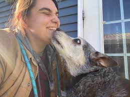 Good Morning Grizzly, Stanley & Marvin! 🐶❤️🐾