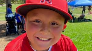 Boy, 10, was 'killed by a poisoned shrimp' after being left at home with  babysitter