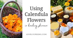 This tea is a herbal, warm beverage prepared from dried flowers is known for its benefitslike treating the symptoms. How To Use Calendula Flowers In Skincare Lovely Greens