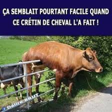 images?q=tbn%3AANd9GcTstzjK2V84a0qO0NIRS2Inlp8oZYd5fKQ1lbF-MYtUb8GHN4N_&usqp=CAU