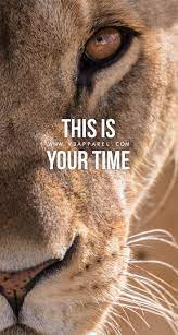 Pin On The Inspirational Quotes Collective