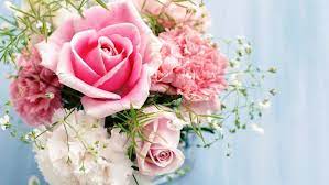 Check spelling or type a new query. Gambar Bunga Mawar Pink Dalam Rangkaian Mawar Pink Gambar Bunga Bunga Bunga Indah