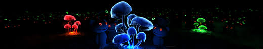Windows Bacgrounds Image Windows Backgrounds Reddit