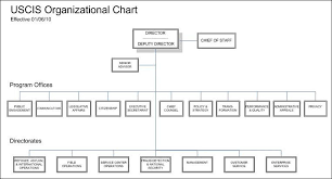 Uscis Organizational Chart Immigration Lawyers Us