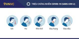 Các triệu chứng chuyển nặng (xuất hiện khoảng 15% bệnh nhân), có hội chứng suy hô hấp tiến triển (ards) xảy ra khi dịch lỏng tích tụ ở phổi. Virus Corona 2019 Covid 19 Sars Cov 2 Nguyen Nhan Triá»‡u Chá»©ng