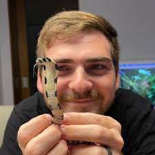 Exploring the Dangerous Funnel Web Spider