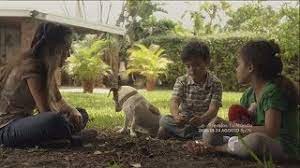 Dariana Fustes En Mariposa De Barrio Capitulo 38 Youtube