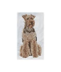 Image result for velšteriér