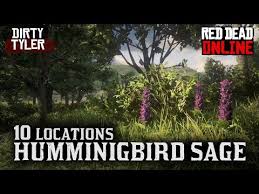 This was the easiest and quickest way i could find to do herbalist challenge 3, video will show you location sage, . Some Hummingbird Sage Locations Should Get All 5 In The Fist Spot For The Daily Challenge Reddeadonline
