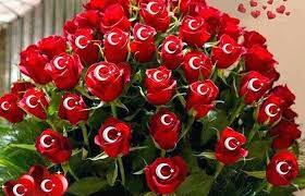 Turk Bayragi Ve Gul Resimleri Indir Turk Bayraklari Cicek Bayrak Resim