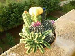 Trova una vasta selezione di fioriere con grigliato per piante a prezzi vantaggiosi su ebay. Composizione Piante Grasse All Uncinetto Crochet Cactus Crochet Garden Crochet Plant