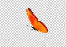 Butterfly Gif Portable Network Graphics Information Png Animaatio Animation Arthropod Borboleta Brush Footed Butterfly Butterfly Gif Gif Butterfly