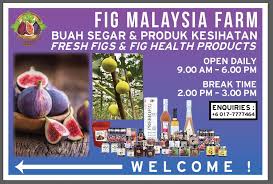 The nation consists of 13 states and three federal territories. Fig Malaysia Home Facebook