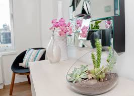 Check spelling or type a new query. Tips And Tricks For Using Plants In Modern Interior Design Plant Care Guide