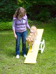 See more ideas about indoor dog park, indoor dog, dog hotel. How To Build A Diy Dog Agility Course This Old House