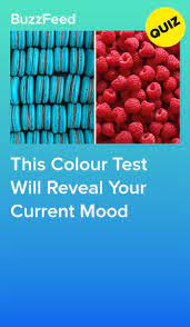 Pin On Quizzes