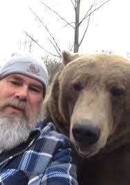 Chainsaw juggling or race car driving? #BrownBear #bear #wildlife