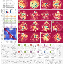 Relatii de echivalenta legi de compozitie grupuri inele si corpuri spatii vectoriale si aplicatii liniare Pdf Extending The Small Molecule Similarity Principle To All Levels Of Biology