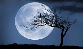 You'll win their trust if you provide shelter when they're vulnerable and encouragement when they're ready to take on the world. December Full Moon Meaning What Does Full Cold Moon Mean For You Weird News Express Co Uk