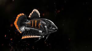 Betta Fish Wallpaper 4k Google Search