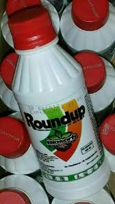 Racun rumput kerap dibutuhkan sebelum membuka lahan untuk membasmi gulma. Jual Herbisida Pembasmi Rumput Racun Rumput Gulma Roundup Round Up Manto Toys