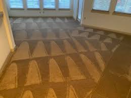 Maybe you would like to learn more about one of these? Dryex Organic Carpet Cleaning Home Facebook