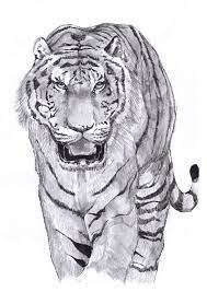 We did not find results for: Create Awesome Animal Illustrations In 24h By Cesarpd Fiverr