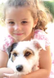 AnimAl WelfAre institute