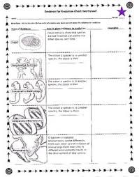 Evidence For Evolution Worksheet Exponent Worksheets Worksheets Evolution
