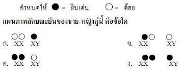 ถูก เพราะ เซลล์ที่มียีนครบจะมี 2 เซลล์ (1 กับ 3) 2. à¸‚ à¸­à¸ªà¸­à¸šà¸§ à¸—à¸¢à¸²à¸¨à¸²à¸ªà¸•à¸£ à¸ž à¸™à¸à¸²à¸™ à¸«à¸™ à¸§à¸¢à¸à¸²à¸£à¹€à¸£ à¸¢à¸™à¸£ à¸— 1 Proprofs Quiz