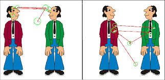 Image result for Visual Fixation