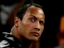 18 You Ve Perfected An Eyebrow Raise For These Situations As Well The Rock Eyebrow The Rock Gif The People S Eyebrow
