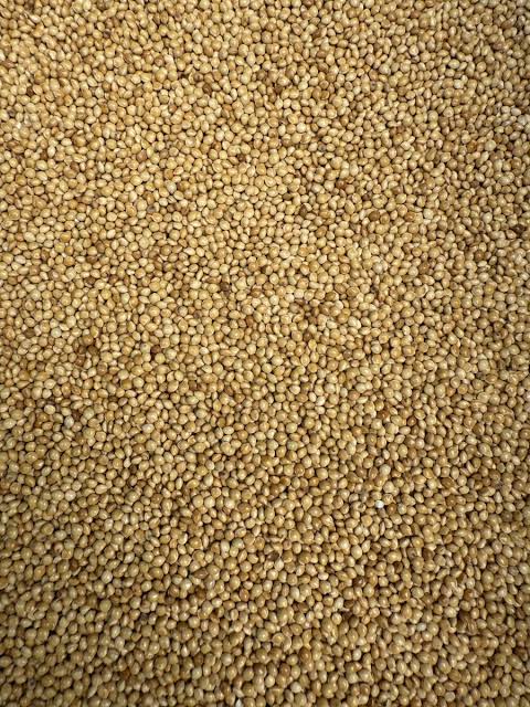 Mukombi Seeds