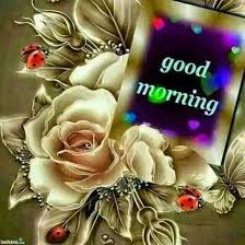 Good Morning Quote With Flowers And Hearts Good Night Blessings Good Morning Wishes Good Morning Sister