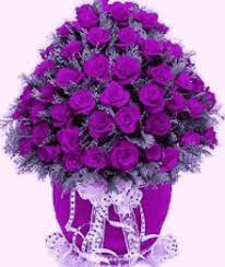 Maybe you would like to learn more about one of these? Animated Purple Flowers Gifs Tenor