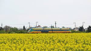 Aici gasesti toate stirile legate de bucuresti, mangalia, prezentari, exclusivitati, topuri, informatii actualizate si. Trenul Astra Trans Carpatic Va Ajunge Din 18 Iunie È™i La Mangalia