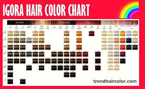 Schwarzkopf Essensity Color Chart Sbiroregon Org