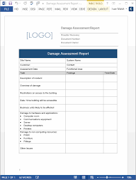 Pin Di Report Template