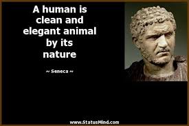 A Human Is Clean And Elegant Animal By Its Nature Seneca Quotes Statusmind Com Ghandi Quotes Philosophy Quotes Inspirational Quotes Collection