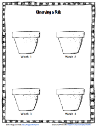 science for kids observing plant growth using bulbs