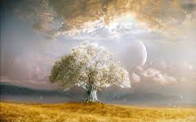 Launched in 2007, vandelay design is one of the leading web design blogs and has reached more than 50 million visitors. Tree Of Life Wallpapers Top Free Tree Of Life Backgrounds Wallpaperaccess