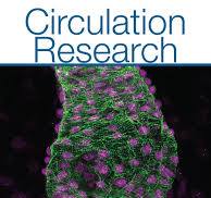 Vol 131, No 12 | Circulation Research