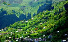 مدونة